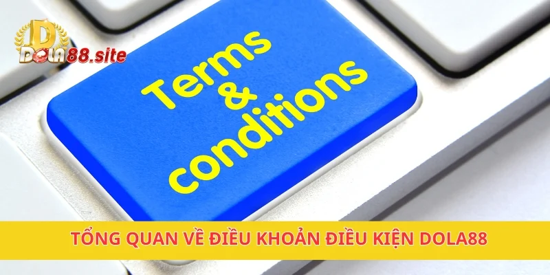 Điều Khoản Điều Kiện DOLA88 – Quy định rõ ràng, minh bạch 1 Tổng quan về điều khoản điều kiện DOLA88