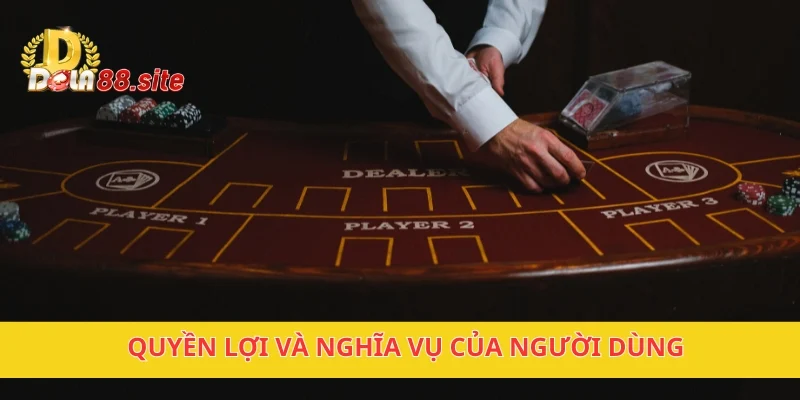 Quyền lợi và nghĩa vụ của người dùng