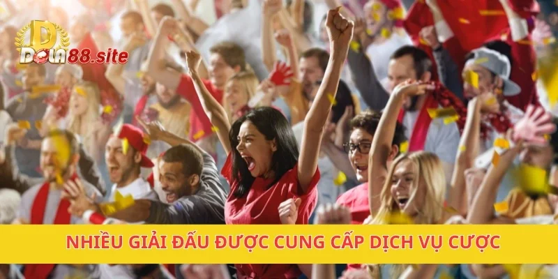 Nhiều giải đấu được cung cấp dịch vụ cược